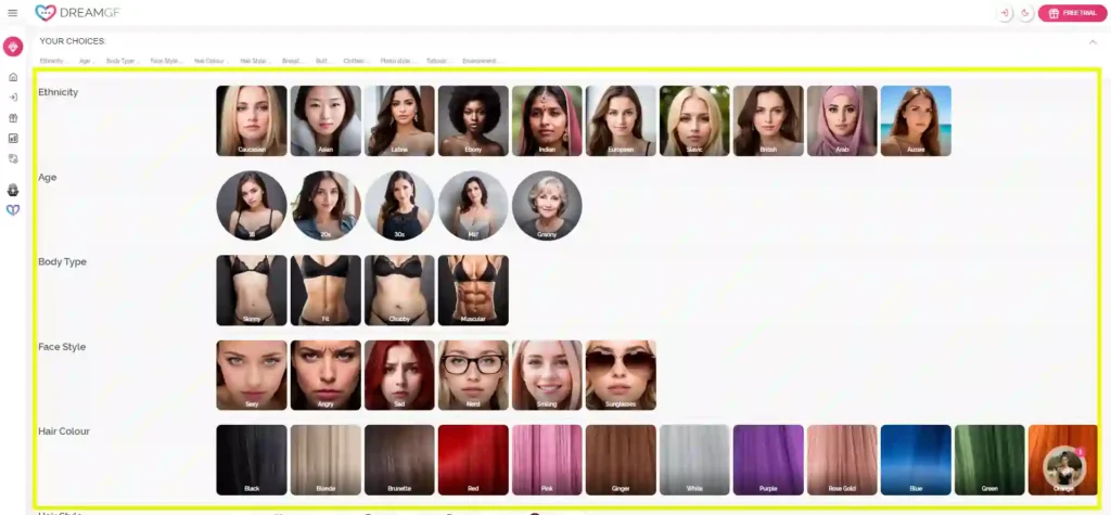DreamGF User Interface