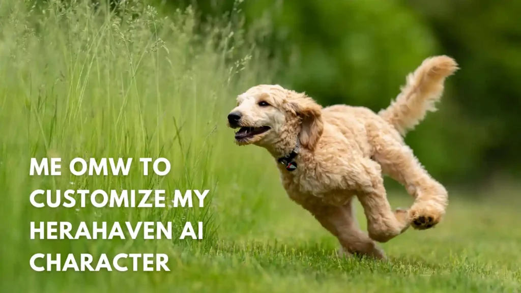 HeraHaven AI - Customization Meme