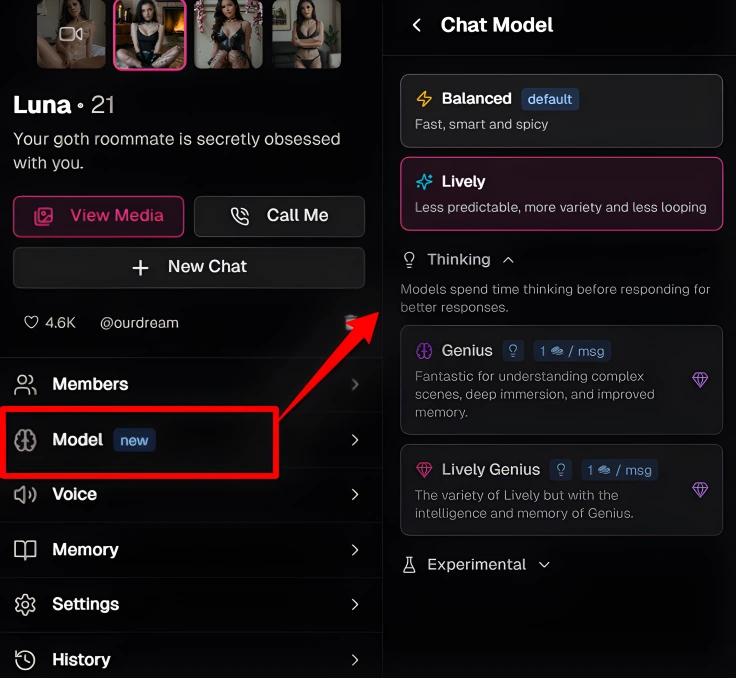 OurDream AI chat models